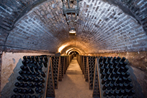 champagne cellar